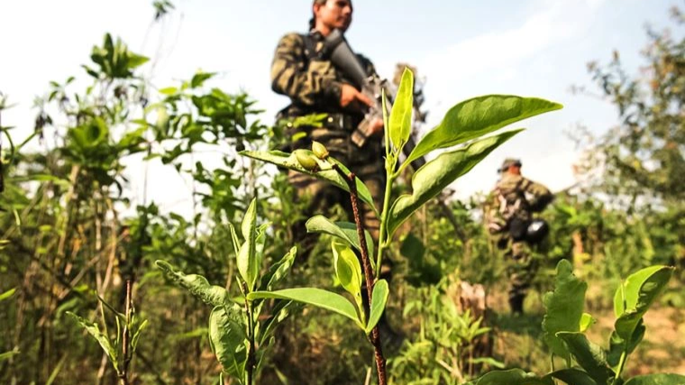 La Mirada en el Crimen&nbsp;organizado